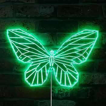 光る蝶 81S03Z+EbqL._UF350,350_QL50_.jpg